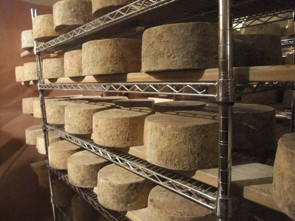 Bleu Mont cheddar.jpg